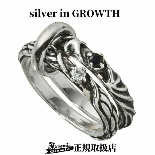 デビエンチェインリング/Artemis Classic/アルテミスクラシック (シルバー925製) acr0269 Devien Chain Ring