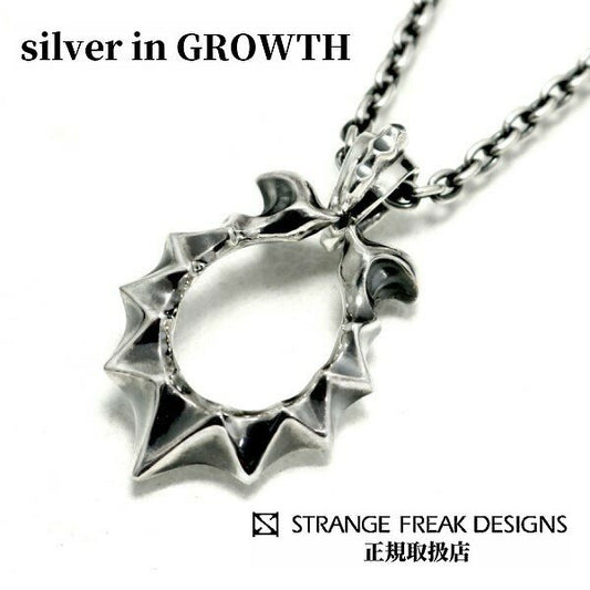 STRANGE FREAK DESIGNS ストレンジフリークデザインス ディレイン ホースシュー ペンダント SFD-P-111