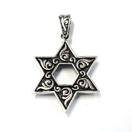 ZOCALO(ソカロ) ジューイッシュ・スター・ペンダント・トップ・M・ガーネット (シルバー950製) ZZPDG-0002GN