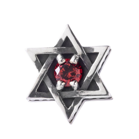 アルテミスキングス ARTEMIS KINGS ヘキサグラムスタッドピアスRD 片耳分 AKE0086