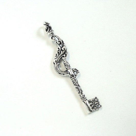 ZOCALO(ソカロ) アイビー・オブ・フレーム・キー S・ペンダント トップ (シルバー950製) ZZPDS-0018