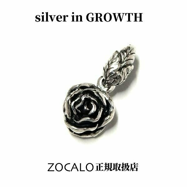 ZOCALO – Page 10 – silver in GROWTH