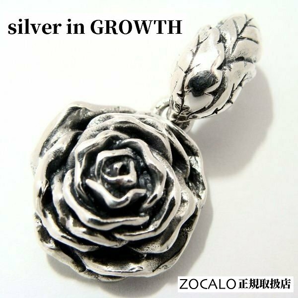 ZOCALO – Page 10 – silver in GROWTH